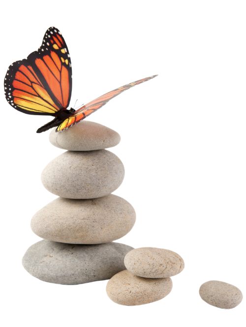 untitled design (80)